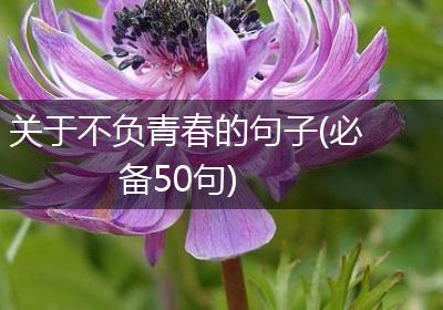 关于不负青春的句子(必备50句)