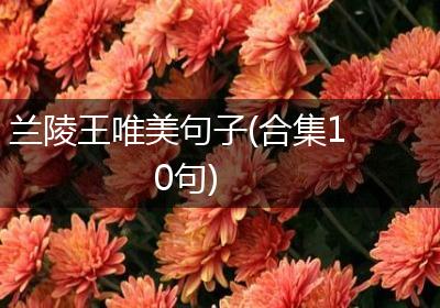 兰陵王唯美句子(合集10句)