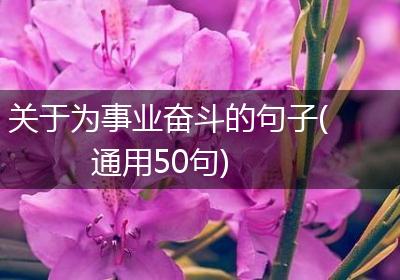 关于为事业奋斗的句子(通用50句)
