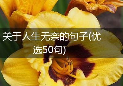 关于人生无奈的句子(优选50句)