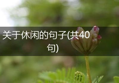 关于休闲的句子(共40句)