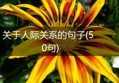 关于人际关系的句子(50句)