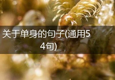 关于单身的句子(通用54句)