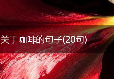 关于咖啡的句子(20句)