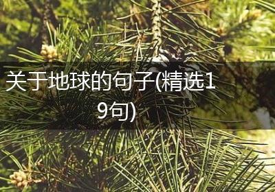 关于地球的句子(精选19句)