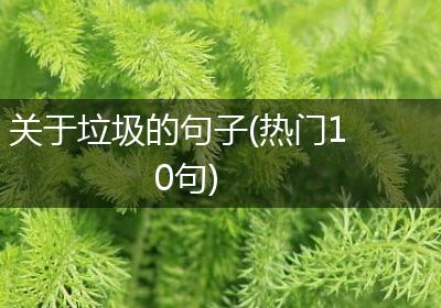 关于垃圾的句子(热门10句)