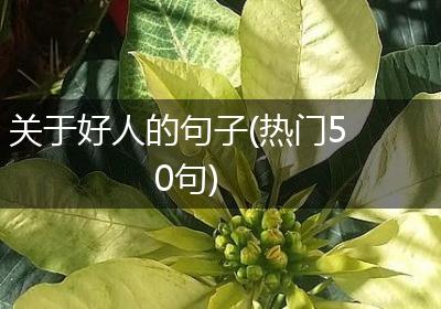 关于好人的句子(热门50句)