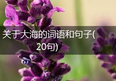 关于大海的词语和句子(20句)