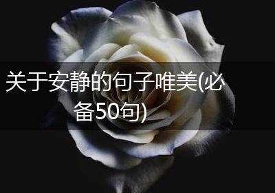 关于安静的句子唯美(必备50句)