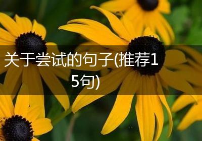 关于尝试的句子(推荐15句)