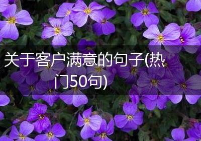 关于客户满意的句子(热门50句)