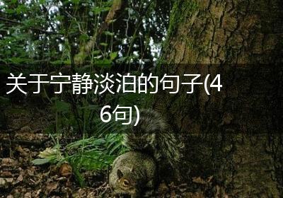关于宁静淡泊的句子(46句)