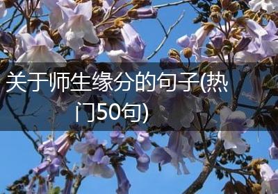 关于师生缘分的句子(热门50句)
