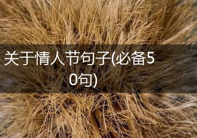 关于情人节句子(必备50句)