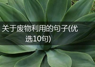 关于废物利用的句子(优选10句)