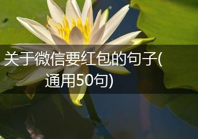 关于微信要红包的句子(通用50句)