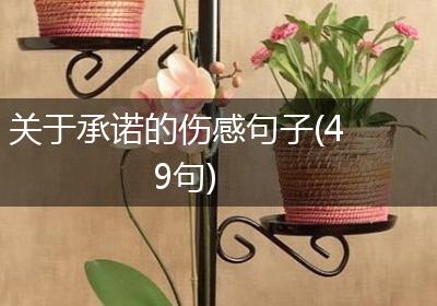 关于承诺的伤感句子(49句)