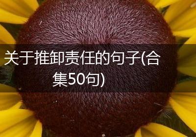 关于推卸责任的句子(合集50句)