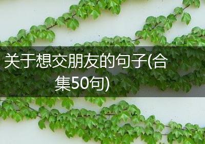 关于想交朋友的句子(合集50句)