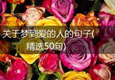 关于梦到爱的人的句子(精选50句)