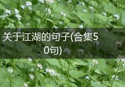 关于江湖的句子(合集50句)