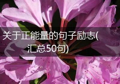 关于正能量的句子励志(汇总50句)