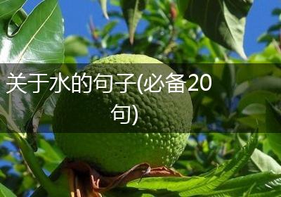 关于水的句子(必备20句)