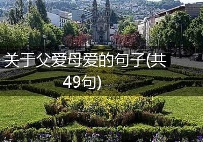 关于父爱母爱的句子(共49句)