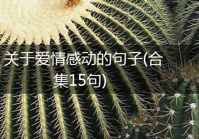 关于爱情感动的句子(合集15句)