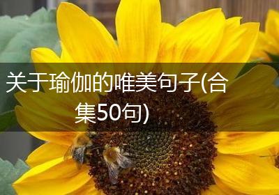 关于瑜伽的唯美句子(合集50句)