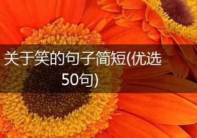 关于笑的句子简短(优选50句)