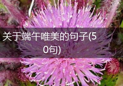 关于端午唯美的句子(50句)
