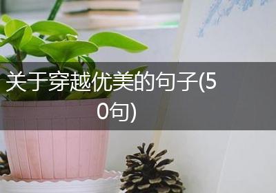 关于穿越优美的句子(50句)