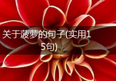 关于菠萝的句子(实用15句)