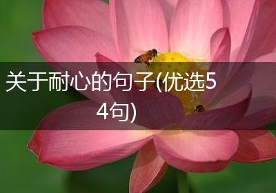 关于耐心的句子(优选54句)