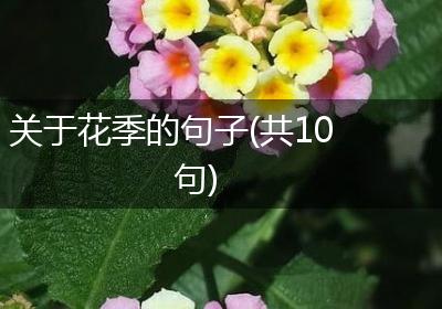 关于花季的句子(共10句)