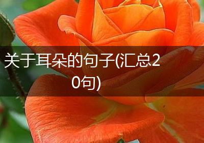 关于耳朵的句子(汇总20句)