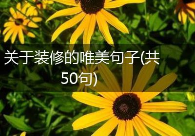 关于装修的唯美句子(共50句)