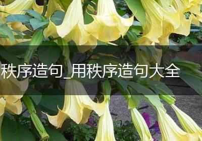 秩序造句_用秩序造句大全
