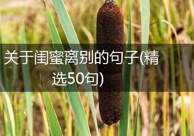 关于闺蜜离别的句子(精选50句)
