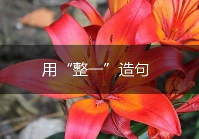 用“整一”造句