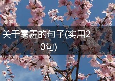 关于雾霾的句子(实用20句)