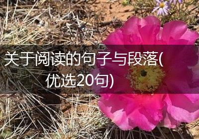 关于阅读的句子与段落(优选20句)