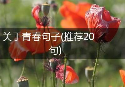 关于青春句子(推荐20句)