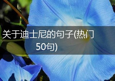 关于迪士尼的句子(热门50句)