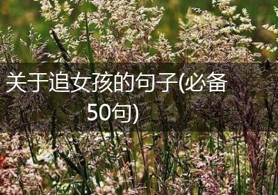 关于追女孩的句子(必备50句)