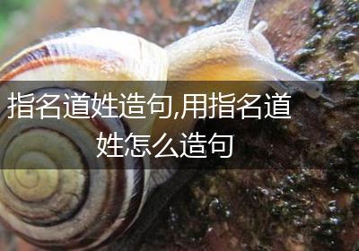 指名道姓造句,用指名道姓怎么造句