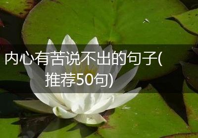 内心有苦说不出的句子(推荐50句)