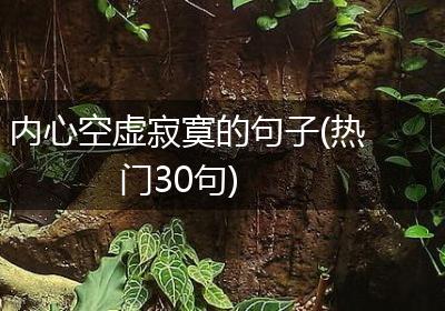 内心空虚寂寞的句子(热门30句)