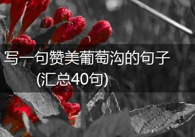写一句赞美葡萄沟的句子(汇总40句)